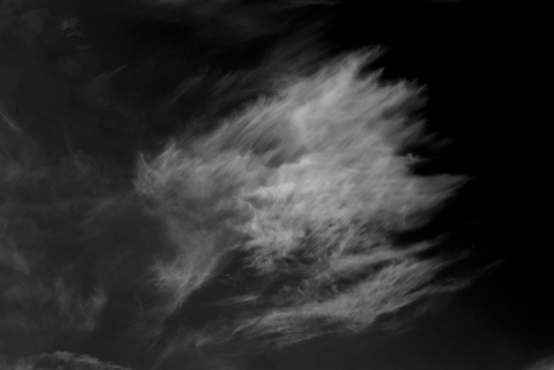 33©JR_052017_8808