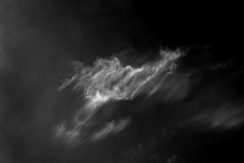35©JR_052017_8807